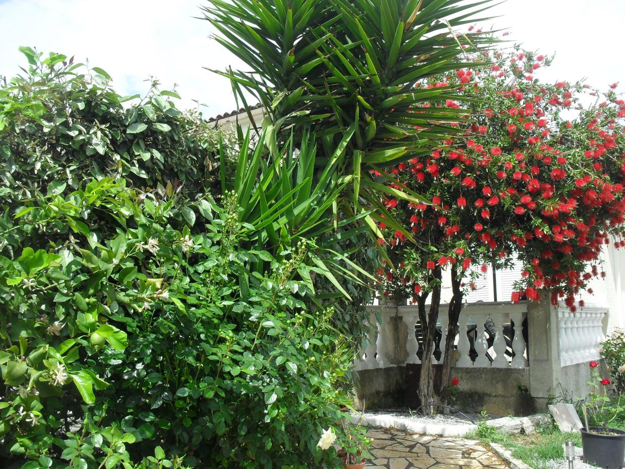 Veronique Bed & Breakfast Appietto Bagian luar foto